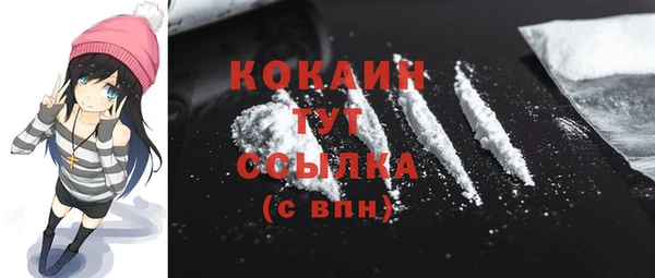 дмт Лиски