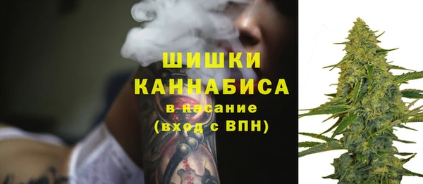 дмт Лиски