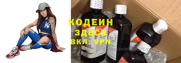 дмт Лиски