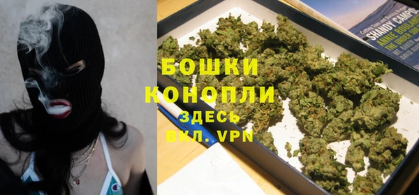 дмт Лиски