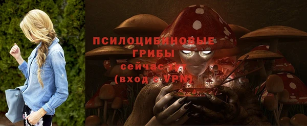 дмт Лиски