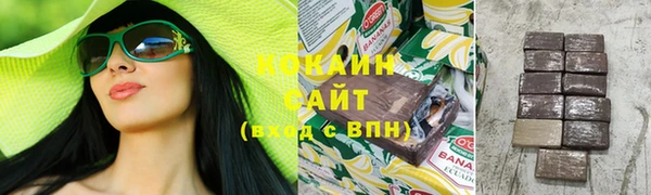 дмт Лиски