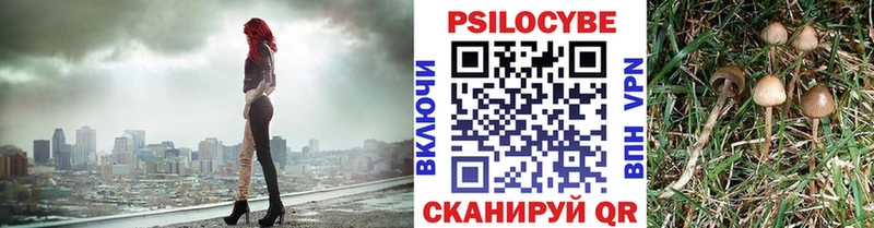 как найти наркотики  Льгов  blacksprut онион  Галлюциногенные грибы ЛСД 